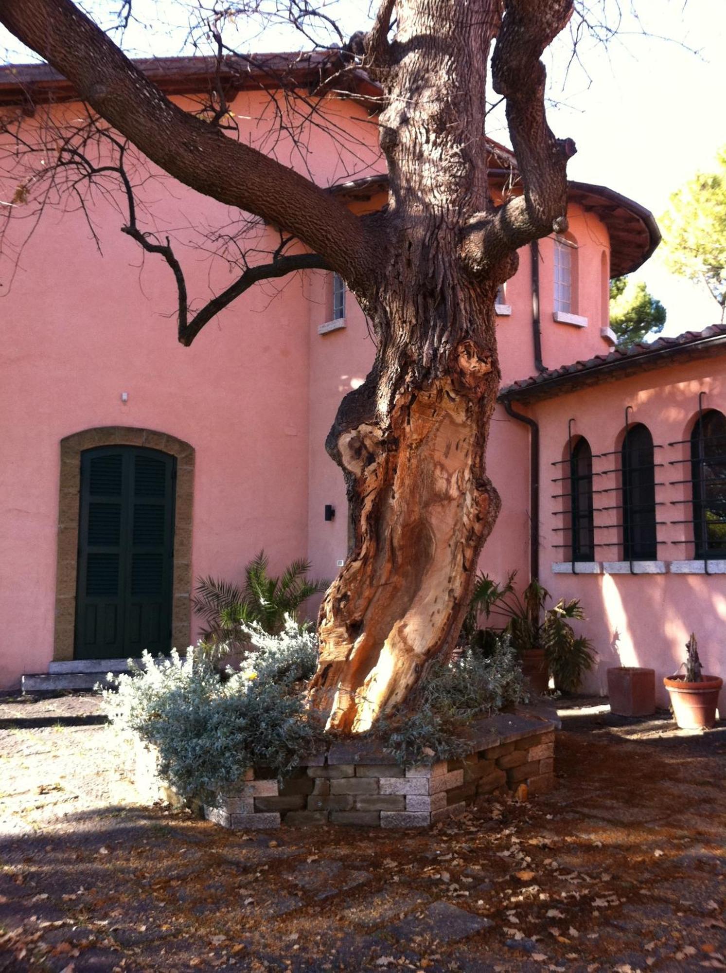 Villa Acquaviva Wine Resort Montemerano Exterior foto