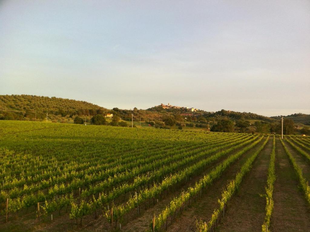 Villa Acquaviva Wine Resort Montemerano Exterior foto